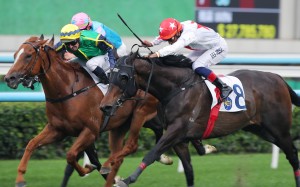 Mugen gets up on the inside to score a thrilling win under Hugh Bowman. Photos: Kenneth Chan
