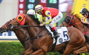 Crimson Flash, ridden by Andrea Atzeni, wins at Sha Tin. Photos: Kenneth Chan.