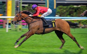 Fivefortwo, ridden by Luke Ferraris, wins at Happy Valley. Photos: Kenneth Chan