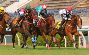 Romantic Warrior (centre), Numbers (left) and Rubylot (right) trial at Sha Tin. Photos: Kenneth Chan.