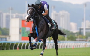 QEII Cup runner, Masquerade Ball, stretches out at Sha Tin. Photos: Kenneth Chan