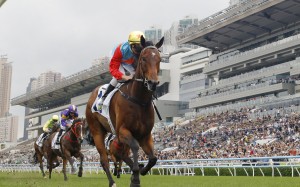 Ka Ying Rising at Sha Tin. Photo: Kenneth Chan
