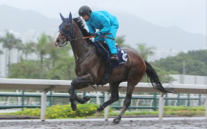 Rousham Park gallops on the Sha Tin dirt earlier this week. Photos: Kenneth Chan