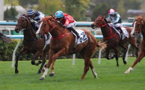 Happy Shooter, ridden by Lyle Hewitson, wins at Sha Tin. Photos: Kenneth Chan.