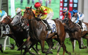 Hot Delight, ridden by Vincent Ho, wins at Sha Tin. Photos: Kenneth Chan