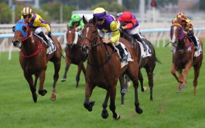 Colourful King wins up the Sha Tin straight in November. Photos: Kenneth Chan