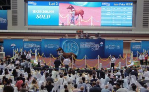 Lot 2 is sold for HK$9.2 million at Hong Kong International Sales at Sha Tin. Photos: Kenneth Chan