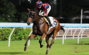 Victor Supreme, ridden by Vincent Ho, triumphs at Sha Tin. Photos: Kenneth Chan