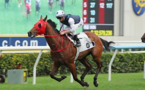 Fast Network wins in Class One company two starts ago. Photos: Kenneth Chan