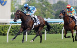 Gold Patch scores under Zac Purton at Sha Tin in April. Photos: Kenneth Chan