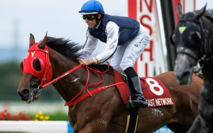 Fast Network and Damian Lane cross the line at Hanshin. Photo: Handout