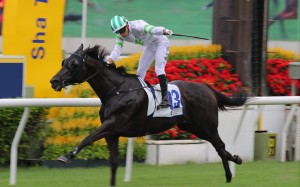 Luck Is Back and Ellis Wong salute at Sha Tin. Photos: Kenneth Chan