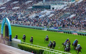 Sunday’s Sha Tin race meeting has been cancelled. Photo: Sam Tsang