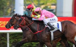 Sky Jewellery gets up on the outside of Hot Delight to narrowly win at Sha Tin on Thursday. Photos: Kenneth Chan