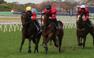 Ka Ying Rising (left) trials at Randwick. Photos: HKJC