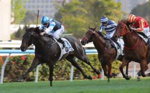 Cool Boy wins at Sha Tin in February. Photos: Kenneth Chan