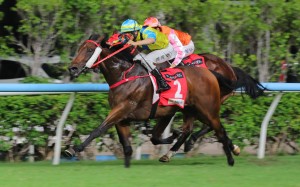 Massive Sovereign gets on top at Happy Valley. Photos: Kenneth Chan