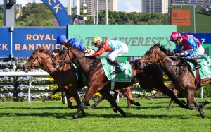 Ka Ying Rising finishes a close second to Tempted in The Everest at Randwick. Photo: HKJC