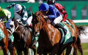 Tempted wins The Everest under Chad Schofield. Photo: AFP
