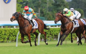 Ka Ying Attack makes a winning return at Sha Tin. Photos: Kenneth Chan