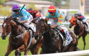 Ka Ying Lightning wins at Sha Tin. Photos: Kenneth Chan