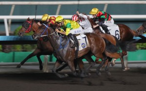 Sky Vino storms down the outside to win on the Sha Tin dirt in May. Photos: Kenneth Chan