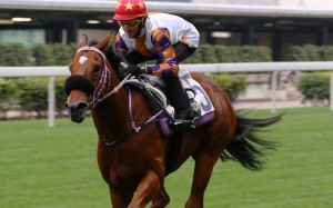 Aiolos trials at Happy Valley under now retired jockey Douglas Whyte. Photos: Kenneth Chan