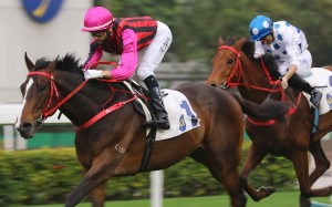 Waikuku wins at Sha Tin earlier this month. Photo: Kenneth Chan