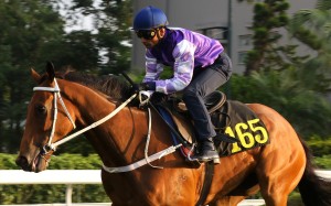 Karis Teetan rides Helene Leadingstar at Sha Tin after a trial this year. Photos: Kenneth Chan