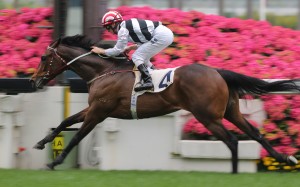 Dan Control wins his Hong Kong debut under Zac Purton. Photos: Kenneth Chan