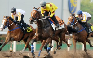 Zac Purton trials Southern Legend on Tuesday morning. Photos: Kenneth Chan