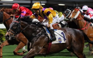 Matthew Poon lifts Citron Spirit to victory at Happy Valley on Wednesday night. Photos: Kenneth Chan