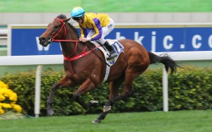 Zac Purton wins on Prince Of Gems on debut at Sha Tin last month. Photos: Kenneth Chan