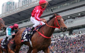 Karis Teetan wins his first international Group One on Mr Stunning in December. Photos: Kenneth Chan