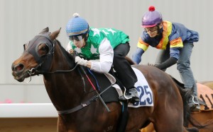Matthew Chadwick sits quietly on Pakistan Star as he wins his barrier trial at Sha Tin on Tuesday morning. Photos: Kenneth Chan