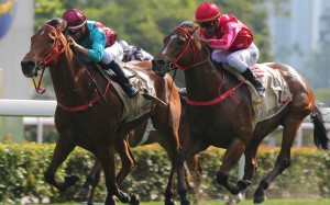 Beat The Clock (left) and Mr Stunning (right) go head-to-head up the straight in the Group One Centenary Sprint Cup in January. Photos: Kenneth Chan