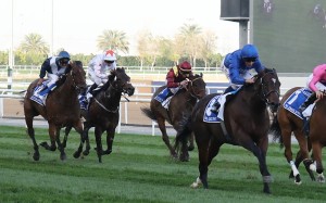 Viddora (left) runs fourth behind Blue Point in the Al Quoz Sprint. Photo: Kenneth Chan