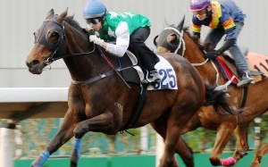 Pakistan Star motors away from his rivals in a barrier trial at Sha Tin last month. Photos: Kenneth Chan