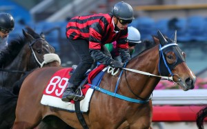 Seven Heavens trials under jockey Zac Purton at Sha Tin. Photos: Kenneth Chan