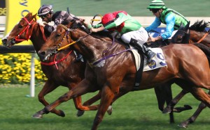 War Lord wins at Sha Tin with Diamond Brilliant (Regan Bayliss) in second ahead of the unlucky Silver Fig (Martin Harley). Photo: Kenneth Chan