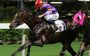 Derek Leung punches out Salto Olimpico at Happy Valley for his only Hong Kong win last year. Photos: Kenneth Chan