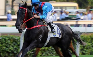 Dark Dream races away to win in Class One grade earlier this month. Photos: Kenneth Chan