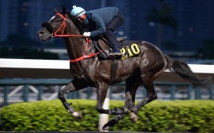 Matthew Chadwick rides Party Together in a gallop on Monday. Photos: Kenneth Chan