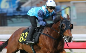 Keith Yeung wins a barrier trial with Best Sense at Sha Tin in November. Photos: Kenneth Chan
