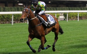 Utopia Life is looking to make amends on Monday. Photos: Kenneth Chan