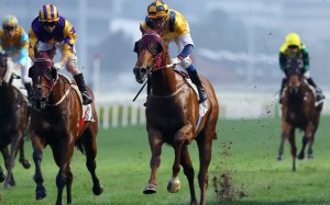 Styling City (centre) storms to victory in December. Photos: Kenneth Chan