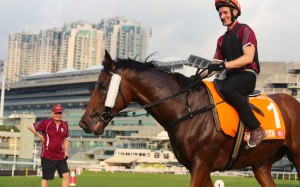John Moore looks over his superstar Beauty Generation at trackwork on Thursday morning. Photos: Kenneth Chan