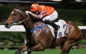 Neil Callan boots home Perfect Glory at Happy Valley on Wednesday night. Photos: Kenneth Chan