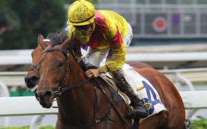 Vincent Ho and Ho Ho Khan dash clear to win the Group Three Queen Mother Memorial Cup. Photos: Kenneth Chan