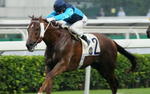 Sunny Boy holds off all challengers to win at Sha Tin on Sunday. Photos: Kenneth Chan